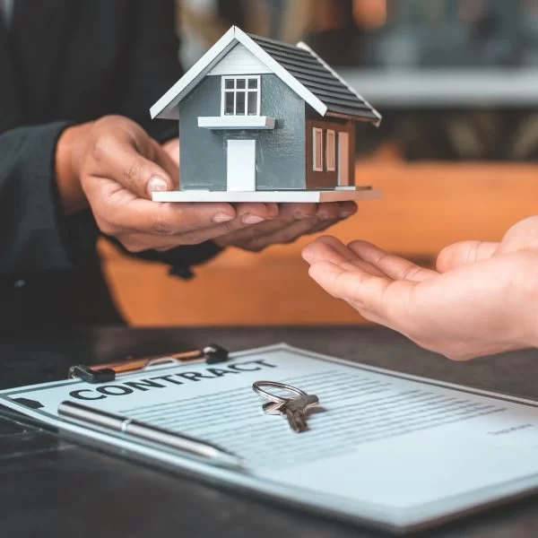 Flipping strategy (buy-renovate-sell)