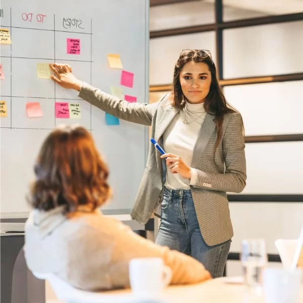 Project management support (advisory)