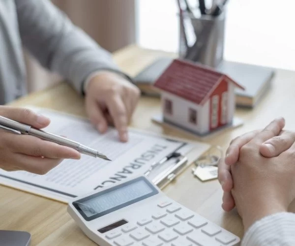 Price Advice & Purchase Strategy